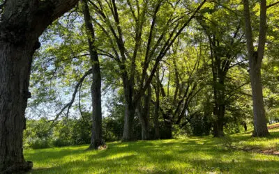 Wellness Through the Seasons