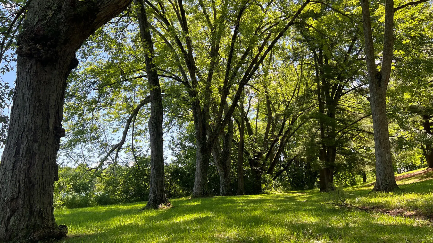 Grounds at Maryville Retreat Center in summer.