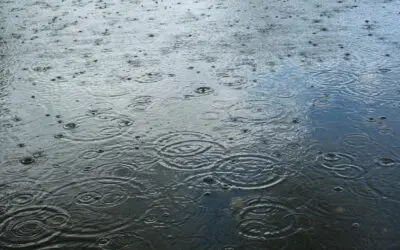 Let It Rain: Finding Grace in the Storm at Maryville