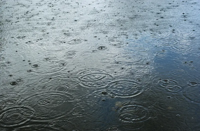 Let It Rain: Finding Grace in the Storm at Maryville