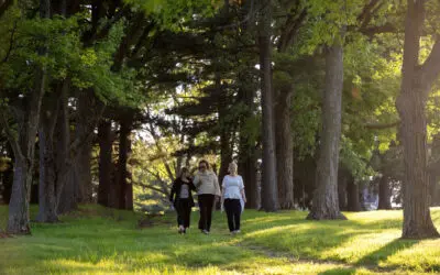 Mondays at Maryville: A Retreat for Your Soul