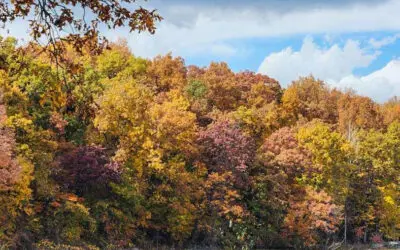 A Perfect Setting for Fall Celebrations