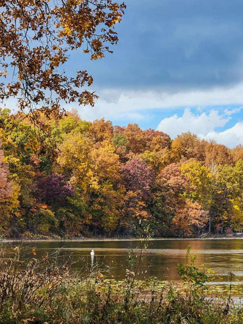 A peaceful fall scene at Lake Elliott at Maryville Retreat Center, with colorful autumn trees reflected in the still water and a duck gliding across the lake.