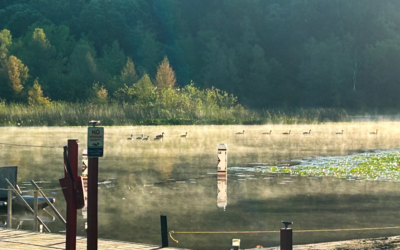 Sabbath and Stillness