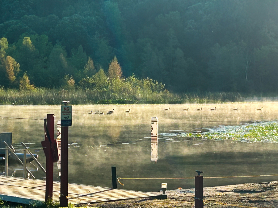 Sabbath and Stillness