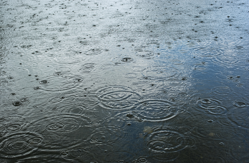 Let It Rain: Finding Grace in the Storm at Maryville