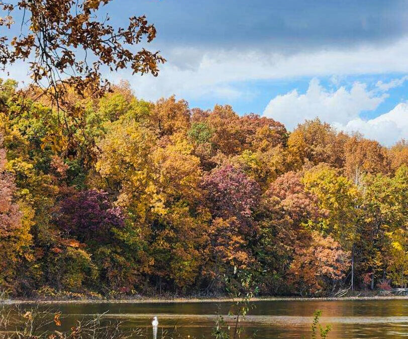 A Perfect Setting for Fall Celebrations