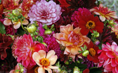 Where Do You Place Your Flowers?